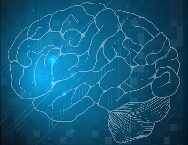 How does the brain process auditory stimuli How does the brain process auditory stimuli