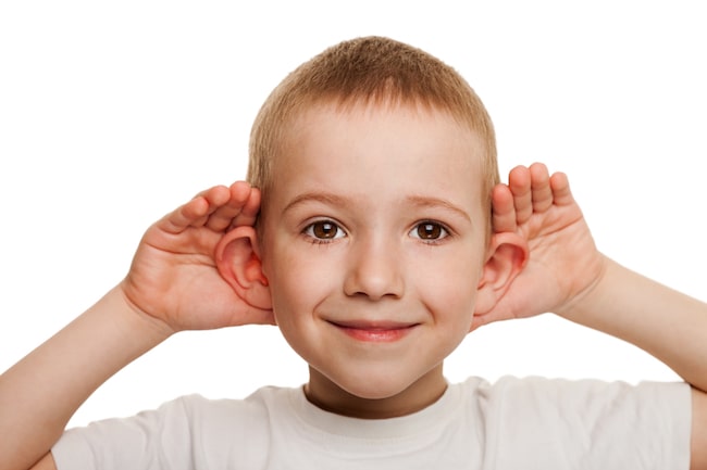 Helping students with auditory processing disorder be more successful  in the classroom Helping students with auditory processing disorder be more successful  in the classroom
